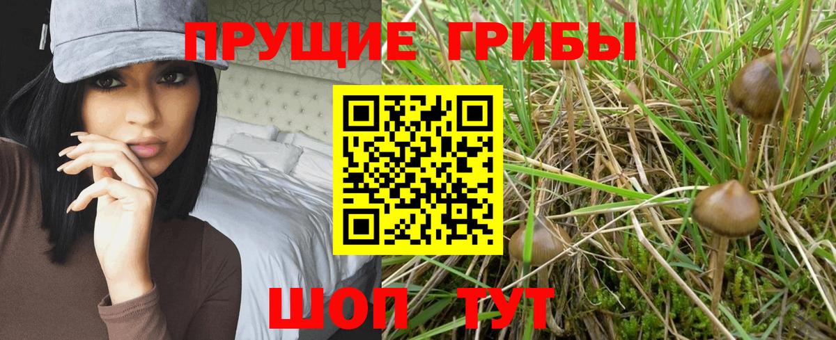 Гудермес  Псилоцибиновые грибы ЛСД  Вход с VPN 